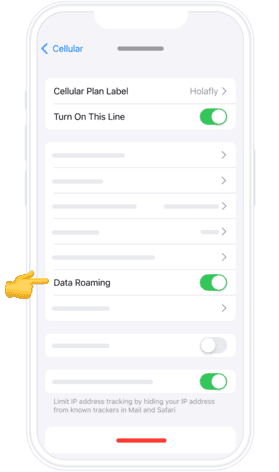 Step 3 - Enable Data Roaming